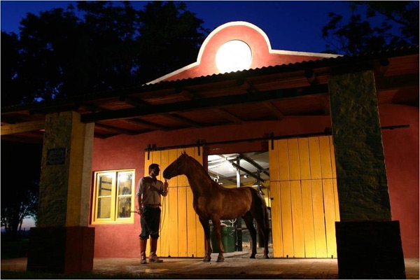 Argentina horseback ride